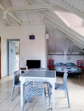 VILLA LAURIER - studio